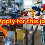 Exciting Career Opportunities in India: Join the Dynamic World of Automobiles with Honda and Tata